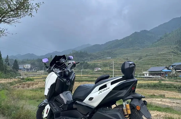 پشت زین وی جی / تکیه گاه ترکنشین YAMAHA Xmax / اصل 000240